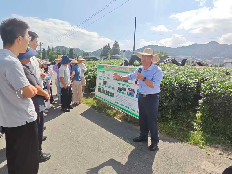 全国茶叶提质增效技术培训班现场。贵州大学供图