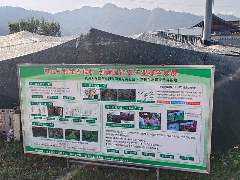 全国茶叶提质增效技术培训班现场。贵州大学供图