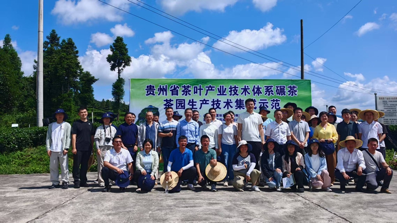全国茶叶提质增效技术培训班现场。贵州大学供图