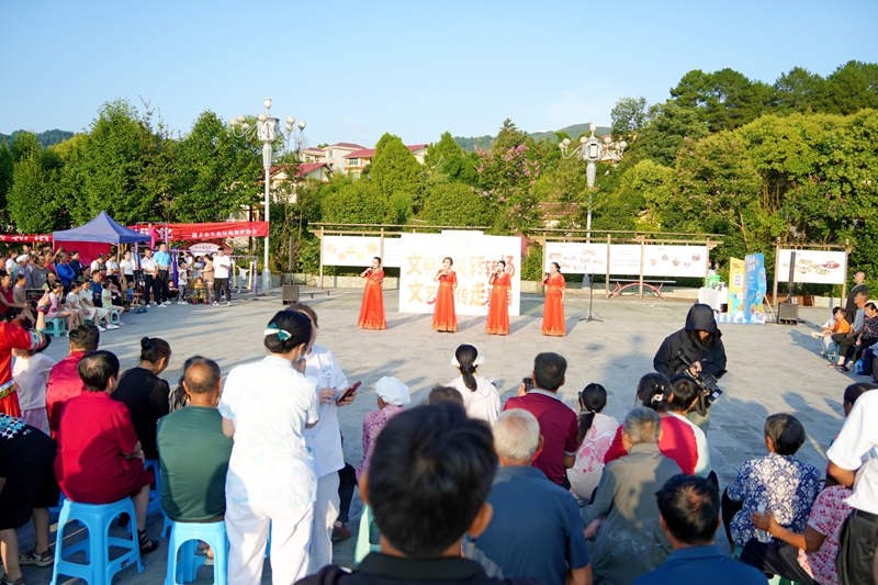 3、文明新风转转场走进高大坪镇。_proc.jpg