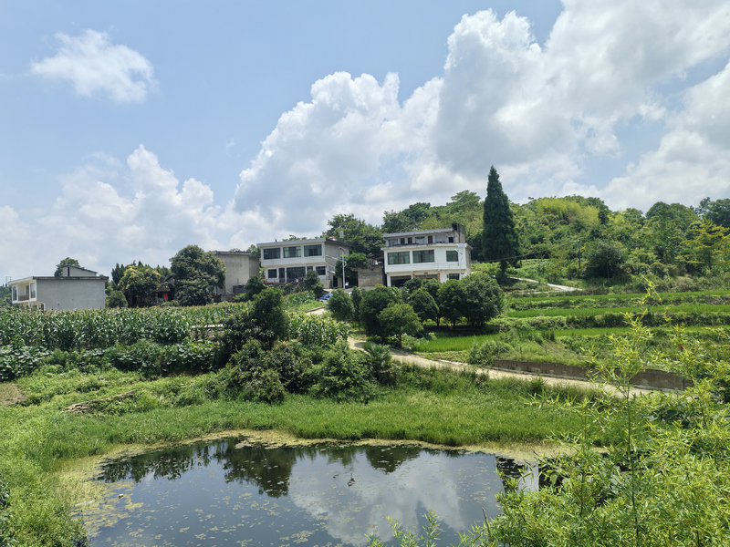 村庄样貌。
