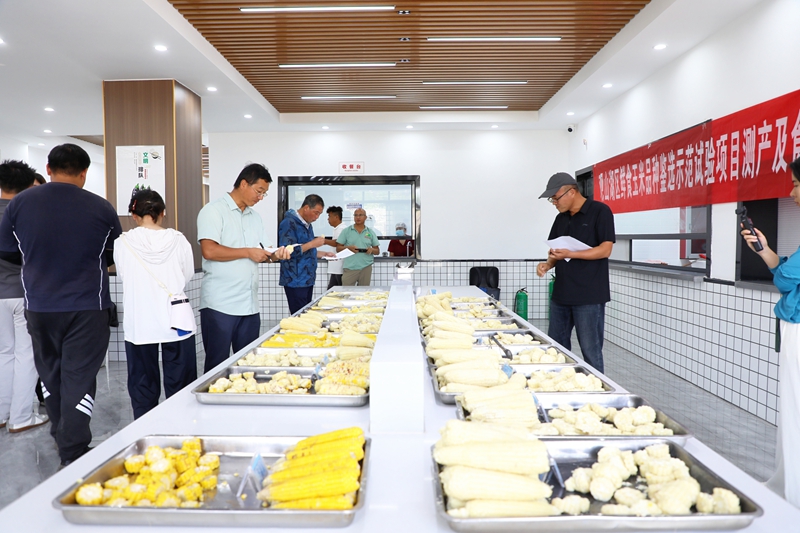 3 大家手持评分表,对玉米进行品鉴打分。.jpg
