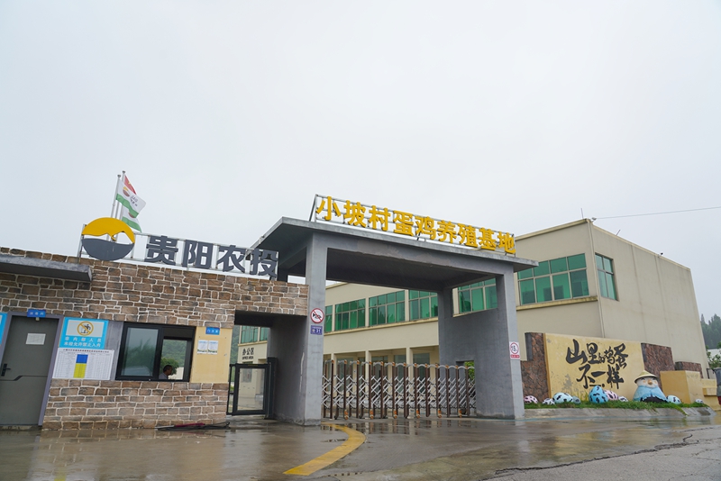 养殖场外景。代胜强 摄.jpg