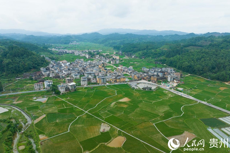 航拍佳所村。人民网 阳茜摄