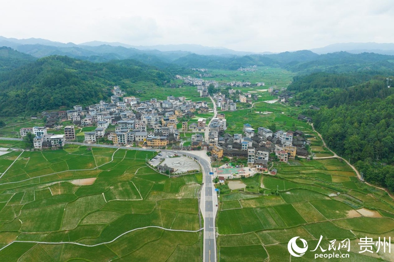 佳所村满目青翠。人民网 阳茜摄