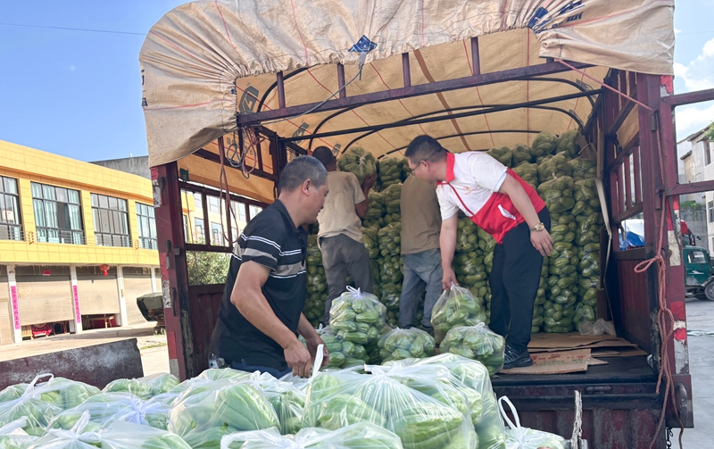 佛手瓜装车 (1).jpg