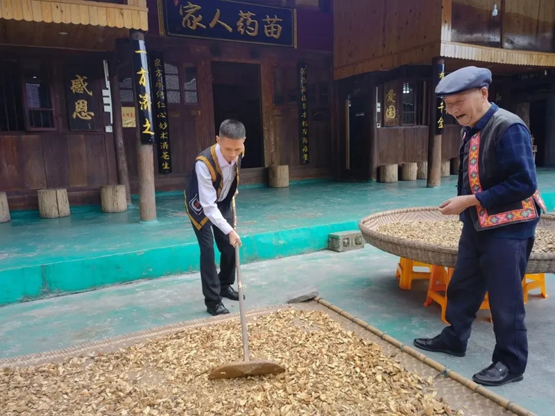 苗药人家。