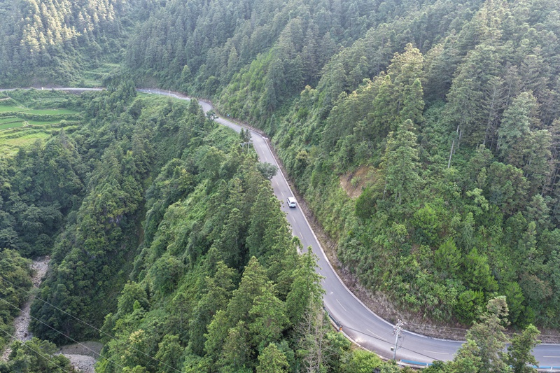 定点专线班车行驶在山路上。吴麟钦摄