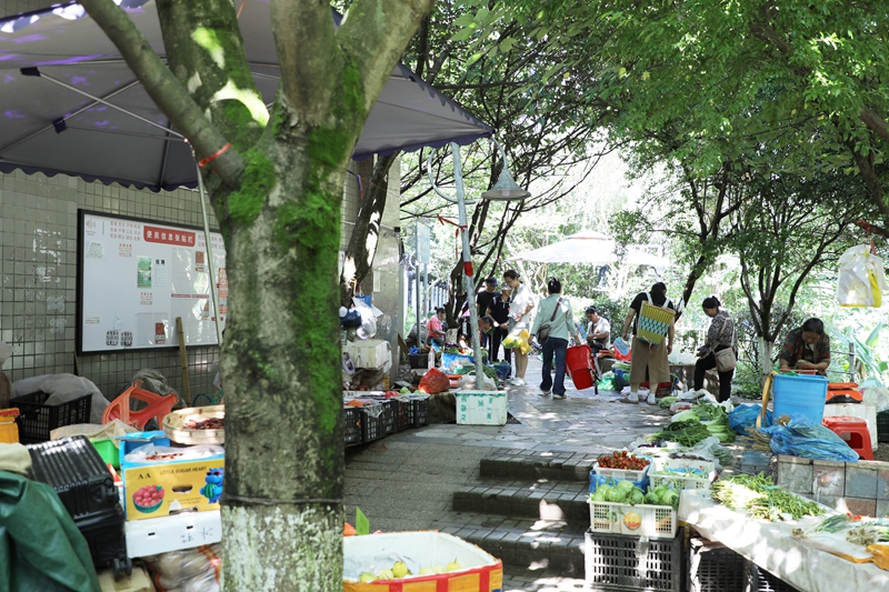 3 临时便民摆摊疏导点。