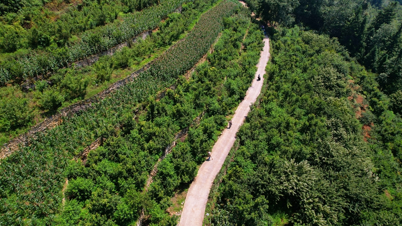 撒拉溪镇永兴村林果基地 陈维 摄.jpg