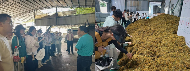 贵州中医药大学药学院苗药特色班开展暑期实训研学活动(图2)