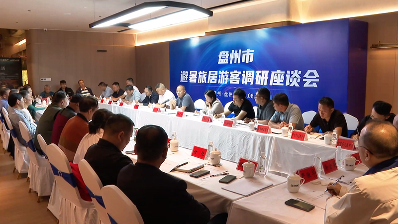 盘州市避暑旅居游客调研座谈会。