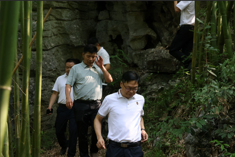 调研组实地踏勘自然教育步道。