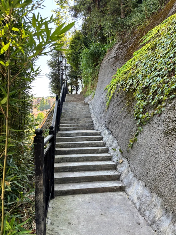 1、林间石阶步道蜿蜒，推窗便是满目青翠山林。何小露 摄.jpg