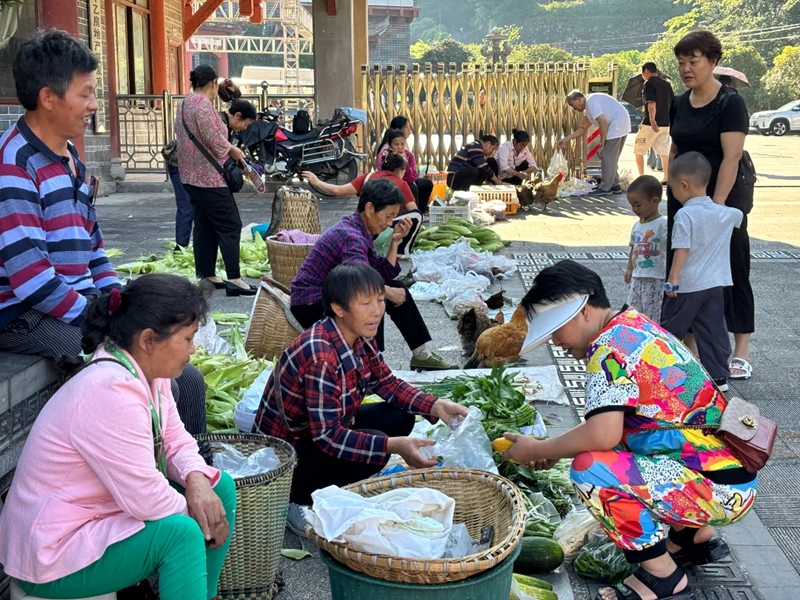 5、早市农户摆摊售卖鲜蔬，满是川渝避暑烟火气。何小露 摄.jpg