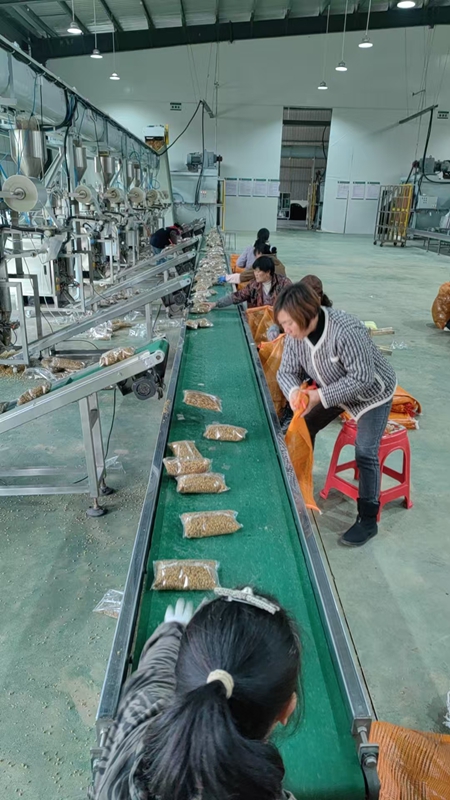 图为：工人正在生产食用菌营养包