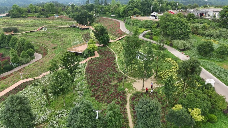 乌当区多维发力做强避暑旅居惠民生。