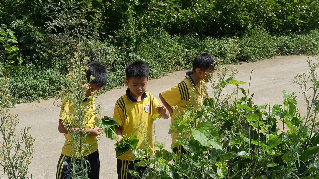 贵阳市白云区文武学校组织师生走进安顺牛蹄关研学基地。