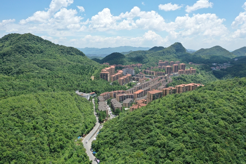 珠遵联璧三伏避暑人气旺习水仙源山海云栖民宿迎客忙(图1)
