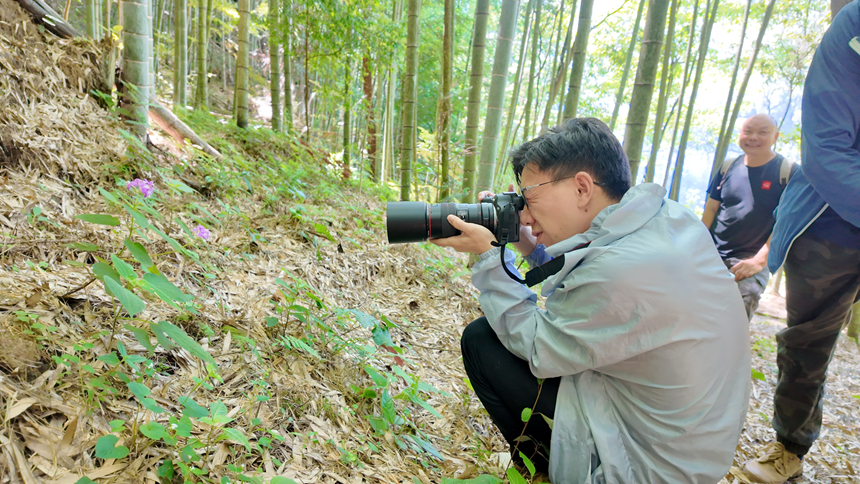1、巡护人员深入保护区，拍摄记录林区野生植物资源。罗霜摄