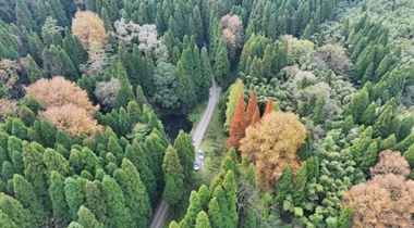 熱播劇《小芳》取景大坡林場 安順文旅再添流量新名片