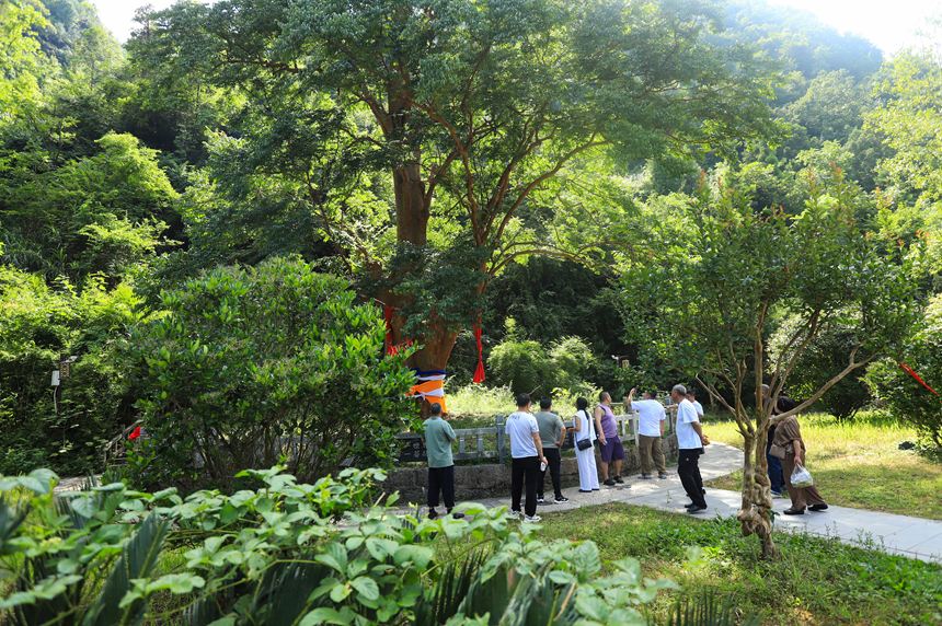 梵净山脚纳凉赏景 土家民俗醉游人。