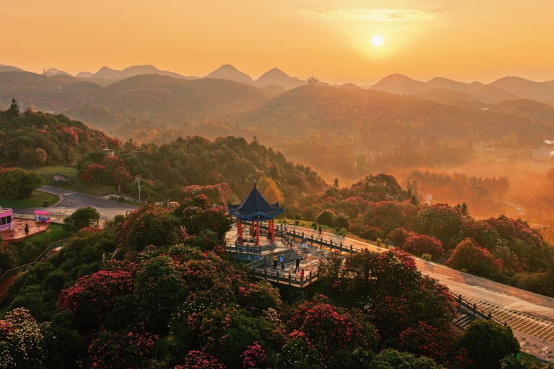 百里杜鹃的夕阳.jpg