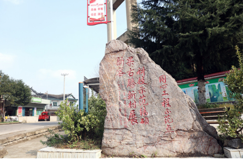 常近时教授为黔西市素朴镇古胜村示范点题字。陈再雄摄