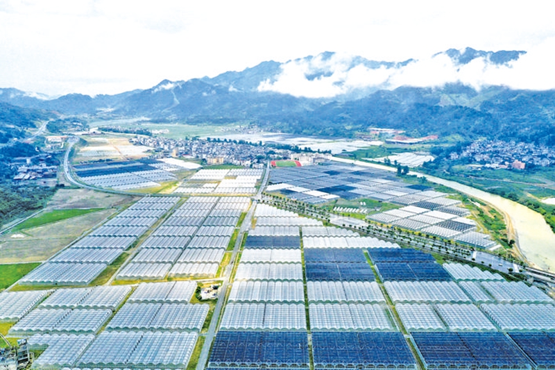 榕江县车江坝区蔬菜基地全貌。王炳真摄
