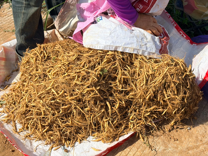 3 、分拣、称重