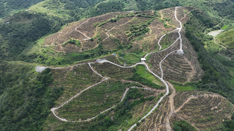 羅甸縣橙園匯科技有限公司火龍果種植基地.JPG