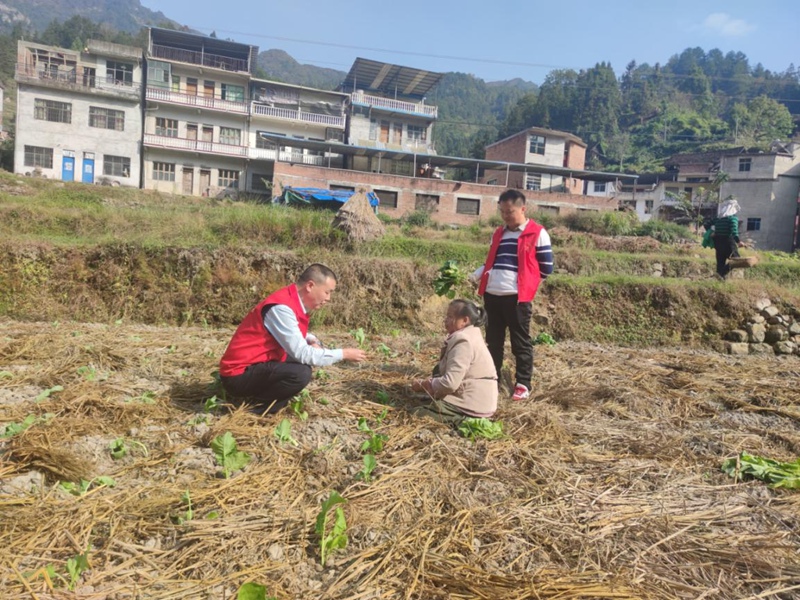 独山县广大干部以脚步丈量民情 (1)