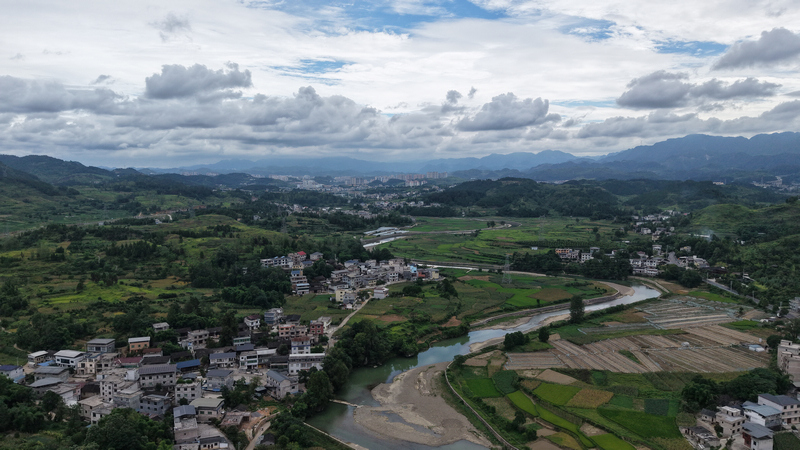 龙头村全景。