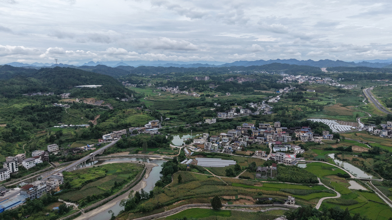 龙头村全景。