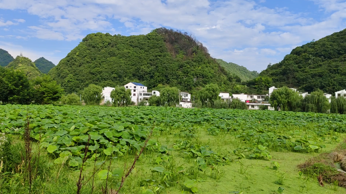 羊場村。