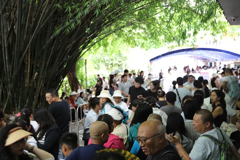 络绎不绝的游客有序前往购票排队。