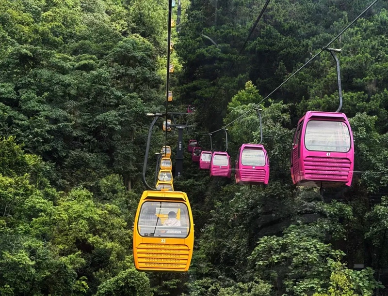 黔灵山公园缆车穿梭山林。