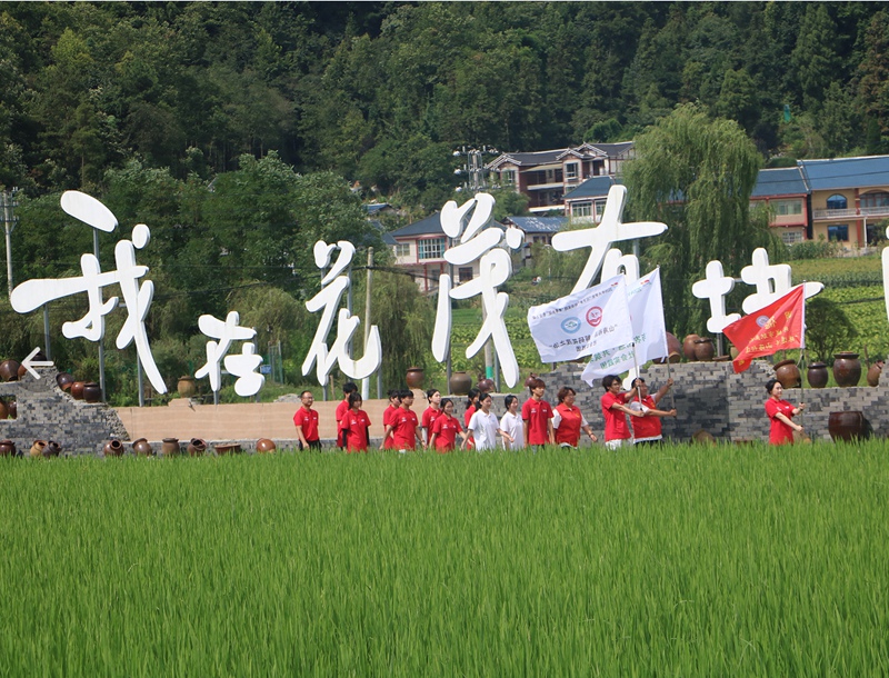 3、走进花茂村了解党建引领治理创新路径。
