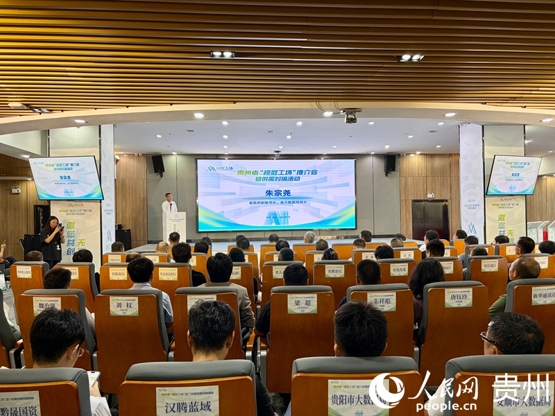 1推介会现场。人民网记者 李丽萍摄.jpg
