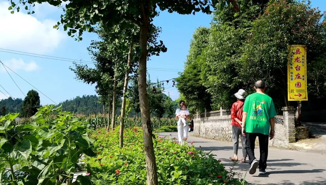 山海同心汇聚协作合力清凉桐梓深耕文旅富民(图2)