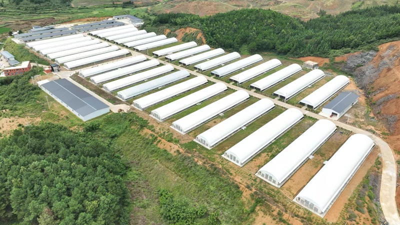 锦屏生态畜禽养殖基地。