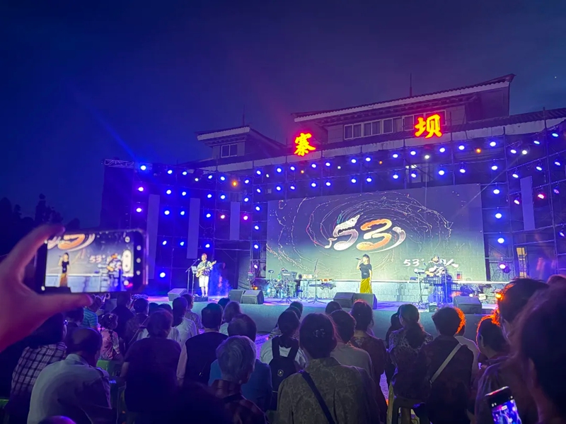 5、夜幕灯光璀璨乐队激情开唱。何小露 摄.jpg