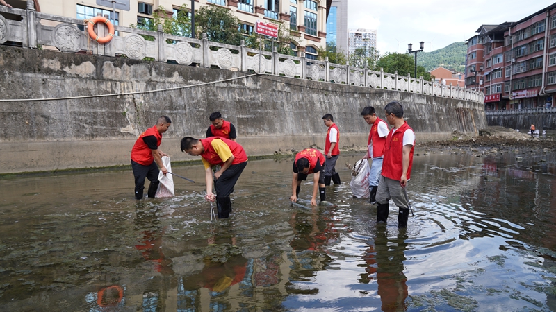 志愿者手持工具清理枯枝及河道漂浮杂物。