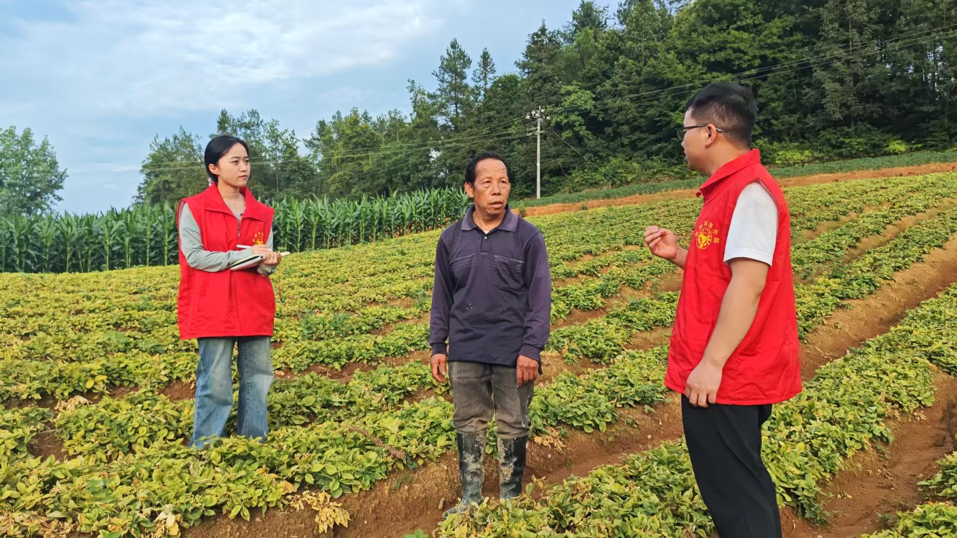 科研團隊成員在太子參基地與農戶交流。貴州中醫藥大學供圖