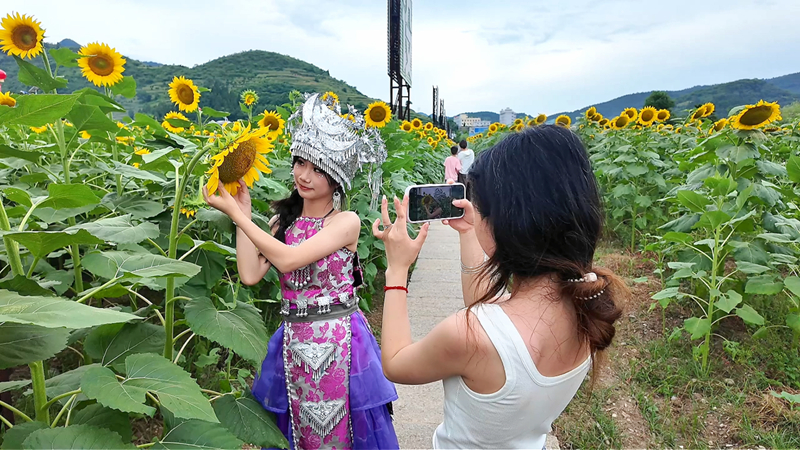 游客身着民族服饰，在向日葵花海打卡留影。