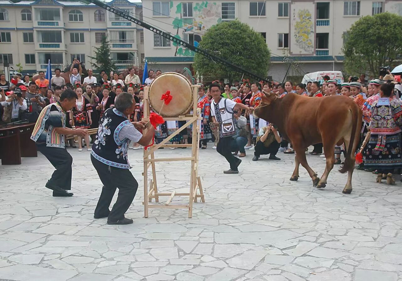 西航辦事處避暑旅居產業跑出發展加速度。