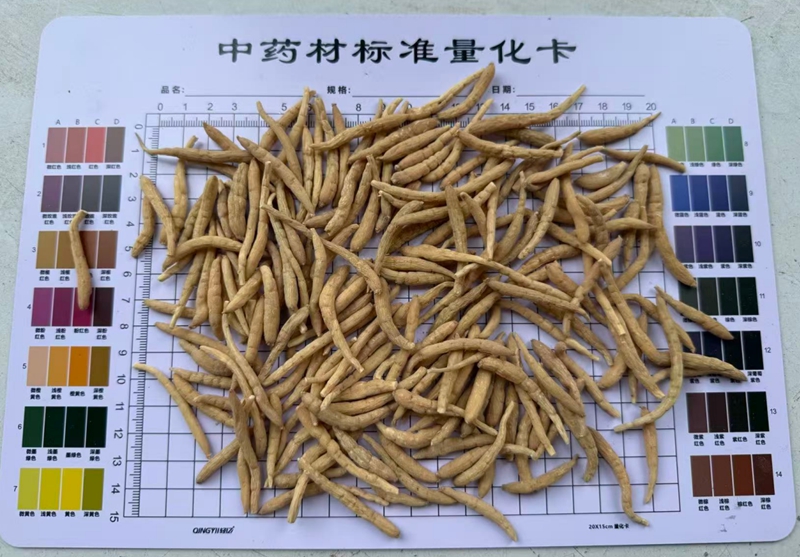 3、中药材标准量化卡。.jpg