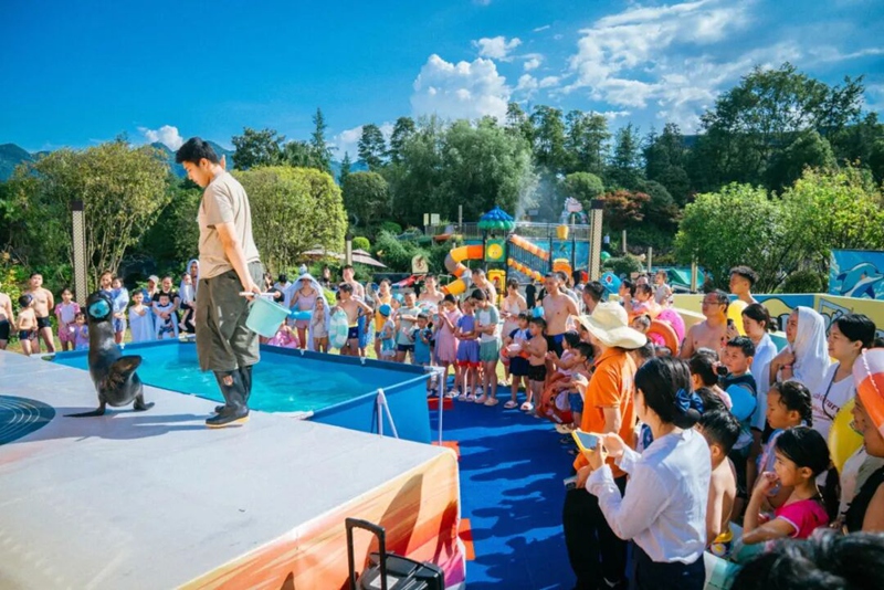 2、仁怀温泉度假区海狮表演现场吸引不少游客观看。