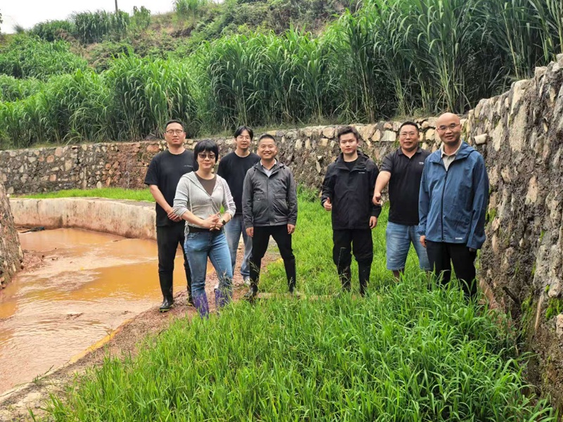 团队在矿区治理现场。