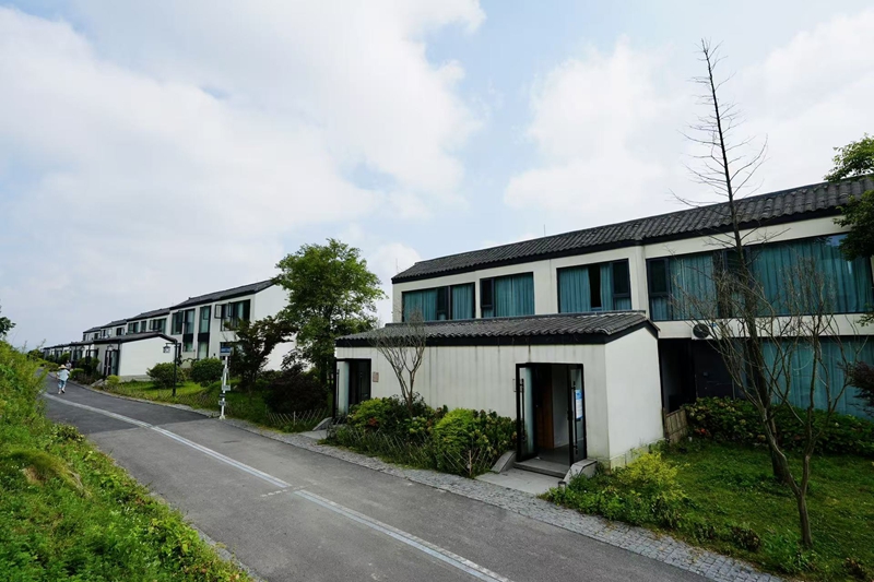 又见南山花海和民宿.jpg